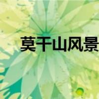 莫干山风景区门票价格（莫干山风景区）