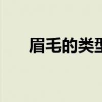 眉毛的类型及图片大全（眉毛的类型）