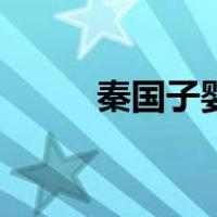 秦国子婴是谁（子婴是谁的孩子）