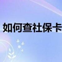 如何查社保卡余额明细（如何查社保卡余额）