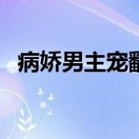 病娇男主宠翻天快穿文（病娇男主宠翻天）