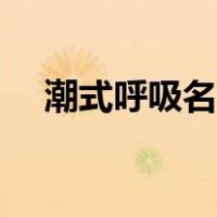 潮式呼吸名字解释（潮式呼吸名词解释）
