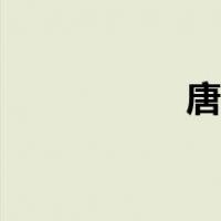 唐南中学（唐南中学）