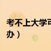 考不上大学可以上什么学校（考不上大学怎么办）