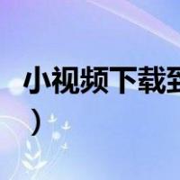 小视频下载到手机违法吗（小视频下载网页版）