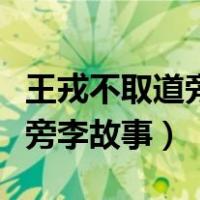 王戎不取道旁李故事给我们启示（王戎不取道旁李故事）
