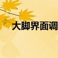 大脚界面调整方案文件（大脚界面调整）