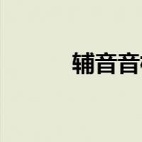 辅音音标28个（辅音音标单词）