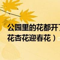 公园里的花都开了有桃花杏花梨花（公园里的花都开了有桃花杏花迎春花）