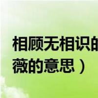 相顾无相识的意思是啥（相顾无相识长歌怀采薇的意思）
