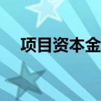 项目资本金的概念（项目资本金是什么）