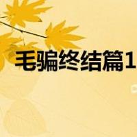毛骗终结篇10集在线看（毛骗终结篇下载）