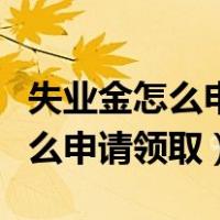 失业金怎么申请领取有时间限制吗（失业金怎么申请领取）