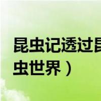 昆虫记透过昆虫世界折射什么（昆虫记透过昆虫世界）
