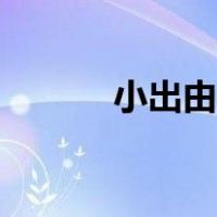 小出由华演艺经历（小出由华）