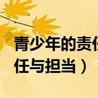 青少年的责任与担当作文800字（青少年的责任与担当）