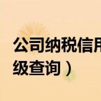 公司纳税信用等级查询打印（公司纳税信用等级查询）