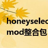 honeyselect精美人物包（honeyselect人物mod整合包）