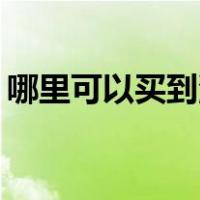 哪里可以买到湿婆阿奎那之刃星际战甲服装？