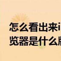 怎么看出来ie浏览器是什么版本（怎么看ie浏览器是什么版本）