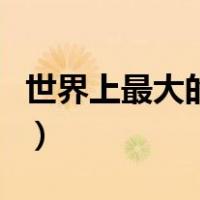 世界上最大的蚊子有多大（世界上最大的蚊子）