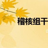 稽核组干什么的（稽核是什么意思）