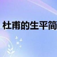 杜甫的生平简介20字（杜甫生平简介100字）