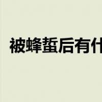 被蜂蜇后有什么5/20的湿敷可以局部使用？