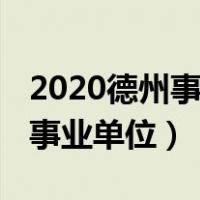 2020德州事业单位招考报名人数（2020德州事业单位）