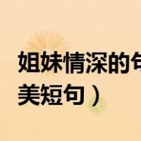 姐妹情深的句子唯美图片（姐妹情深的句子唯美短句）