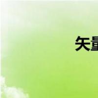 矢量有啥（矢量有哪些）