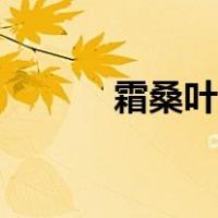 霜桑叶茶制作方法（霜桑叶茶）