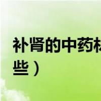 补肾的中药材有哪些品种（补肾的中药材有哪些）