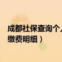 成都社保查询个人账户缴费明细表（成都社保查询个人账户缴费明细）