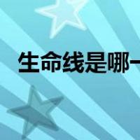 生命线是哪一条婚姻线（生命线是哪一条）