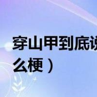 穿山甲到底说了什么的梗（穿山甲到底说了什么梗）