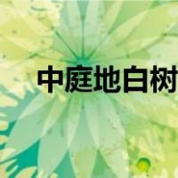 中庭地白树栖鸦古诗（中庭地白树栖鸦）