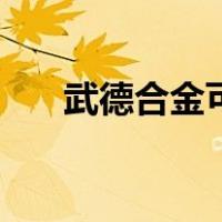 武德合金可以做保险丝吗（武德合金）