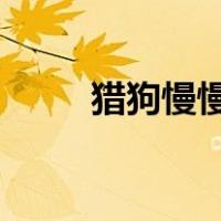 猎狗慢慢靠近麻雀露出锋利的牙齿