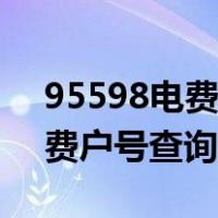 95598电费户号查询入口四川省（95598电费户号查询入口）