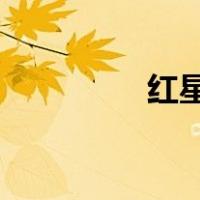 红星照耀中国的人物描写
