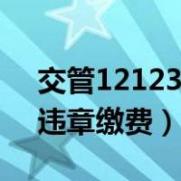 交管12123违章缴费支付渠道（交管12123违章缴费）