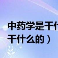 中药学是干什么的就业前景怎么样（中药学是干什么的）