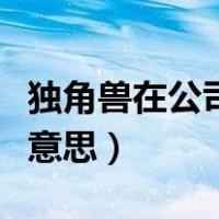 独角兽在公司是什么意思（独角兽公司是什么意思）