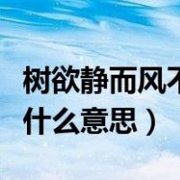 树欲静而风不止是什么歌（树欲静而风不止是什么意思）