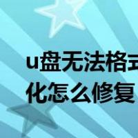 u盘无法格式化怎么办win10（u盘无法格式化怎么修复）