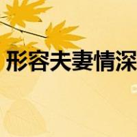 形容夫妻情深的成语（形容夫妻情深的成语）