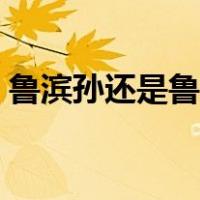 鲁滨孙还是鲁滨逊读音（鲁滨孙还是鲁滨逊）