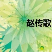 赵传歌曲精选15首（赵传歌曲）