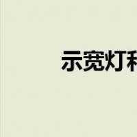 示宽灯和近光灯（示宽灯的作用）